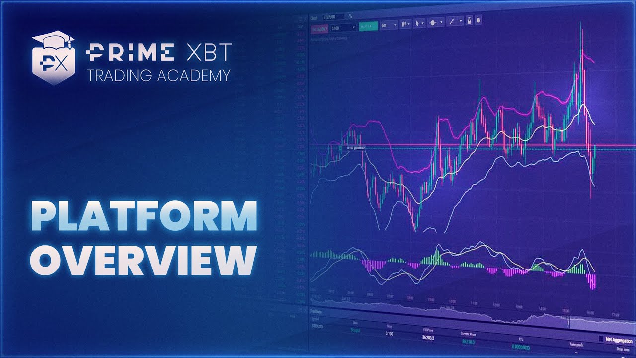 Exodus Trade Market Cap Tutorial 1: Platform Overview